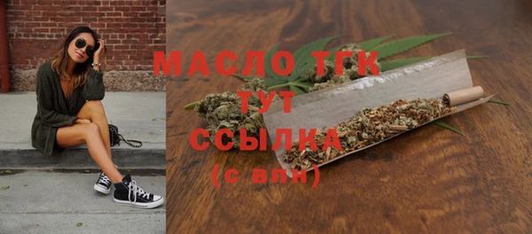 молекула духа Бородино